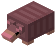 Armadillo Trophy