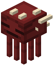Elder Strider Trophy