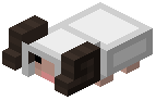 Horned Sheep Trophy