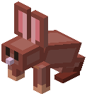 Jumbo Rabbit Trophy