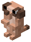 Meerkat Trophy