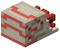 Nautilus Trophy