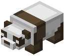 Brown Panda Trophy