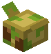 Potato Bee Trophy