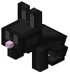 Old Black Rabbit Trophy