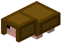Brown Sheep Trophy