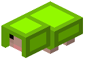 Lime Sheep Trophy
