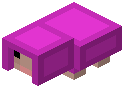 Magenta Sheep Trophy