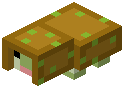 Potato Sheep Trophy