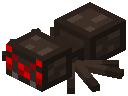 Spider Trophy