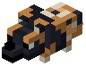 Spotted Wolf Trophy
