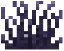 Tall Grass Wyvern Lair