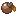 Brown Apricorn