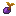 Purple Apricorn Sprout