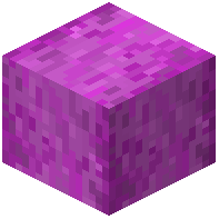 Stripped_Test_Apple_Wood