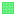 Uranium Plate