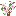 Immortal Peach Sapling