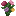 Ink Colorful Peony