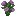 Ink Purple Peony