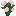 Herbaceous Peony
