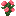 Red Peony