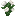 White Peony