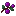 Purple Berries