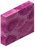 Brain Coral Block Door