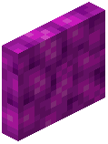 Bubble Coral Block Door