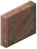 Exposed Copper Door