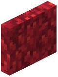 Fire Coral Block Door