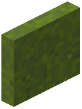 Green Concrete Powder Door