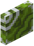 Green Glazed Door