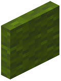 Green Wool Door