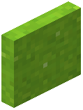 Lime Concrete Powder Door