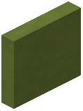 Lime Terracotta Door