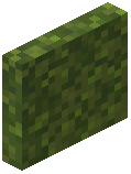 Moss Block Door
