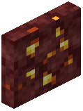 Nether Gold Ore Door