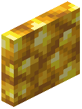 Raw Gold Block Door