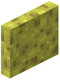 Sponge Door