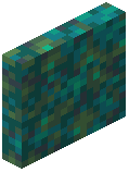 Warped Nylium Door