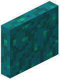 Warped Wart Door