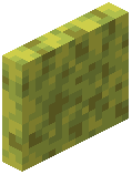 Wet Sponge Door