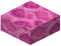 Brain Coral Block Slab