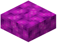 Bubble Coral Block Slab