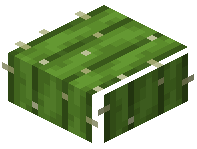 Cactus Slab