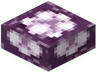 Chorus Flower Slab