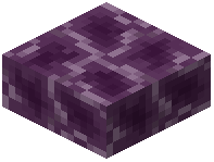 Chorus Plant Slab