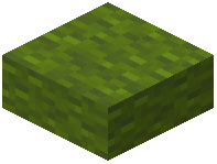 Green Wool Slab