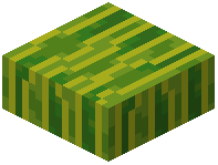 Melon Slab